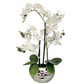 buy white faux orchid in pot

23 inch artificial orchid online

orchid plant in decorative silver vase

premium faux orchid for home

resin-based faux orchid display

lifelike orchid in metallic planter

faux flower for modern interior

decorative orchid in resin for sale

best artificial orchid in silver pot

realistic phalaenopsis orchid decor