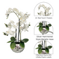 orchid gift for Mother's Day

white orchid decor gift

housewarming faux orchid gift

artificial orchid gift for her

sympathy gift orchid arrangement

orchid centerpiece gift for holidays

luxury floral gift in silver pot

resin flower gift idea

birthday gift white orchid

desk orchid gift plant