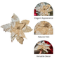 Champagne Velvet Glitter Poinsettia Set of 3 Large Glittered Faux Christmas Flowers for Holiday Decor