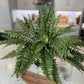 Boston Fern Artificial Plant UV Resistant, 28" Diameter, 27 Fronds