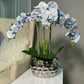 Giulia Real Touch Blue Orchid Arrangement in Beveled Silver Vase