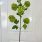 faux green hydrangea set of 3

floral stems for tall vase

artificial green hydrangea décor

fake flowers for farmhouse style

realistic artificial hydrangea stems

30 inch hydrangea silk flowers

elegant faux floral décor

green hydrangea centerpiece flowers

realistic faux greenery stems

green artificial silk flowers