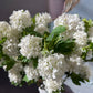 elegant white silk hydrangeas

wedding faux floral stems

faux white flowers realistic

large artificial flower stems

fake hydrangea floral spray

faux floral stems for decorating

soft touch artificial flowers

real touch hydrangea stems

fake snowball hydrangeas

faux hydrangea centerpiece flowers