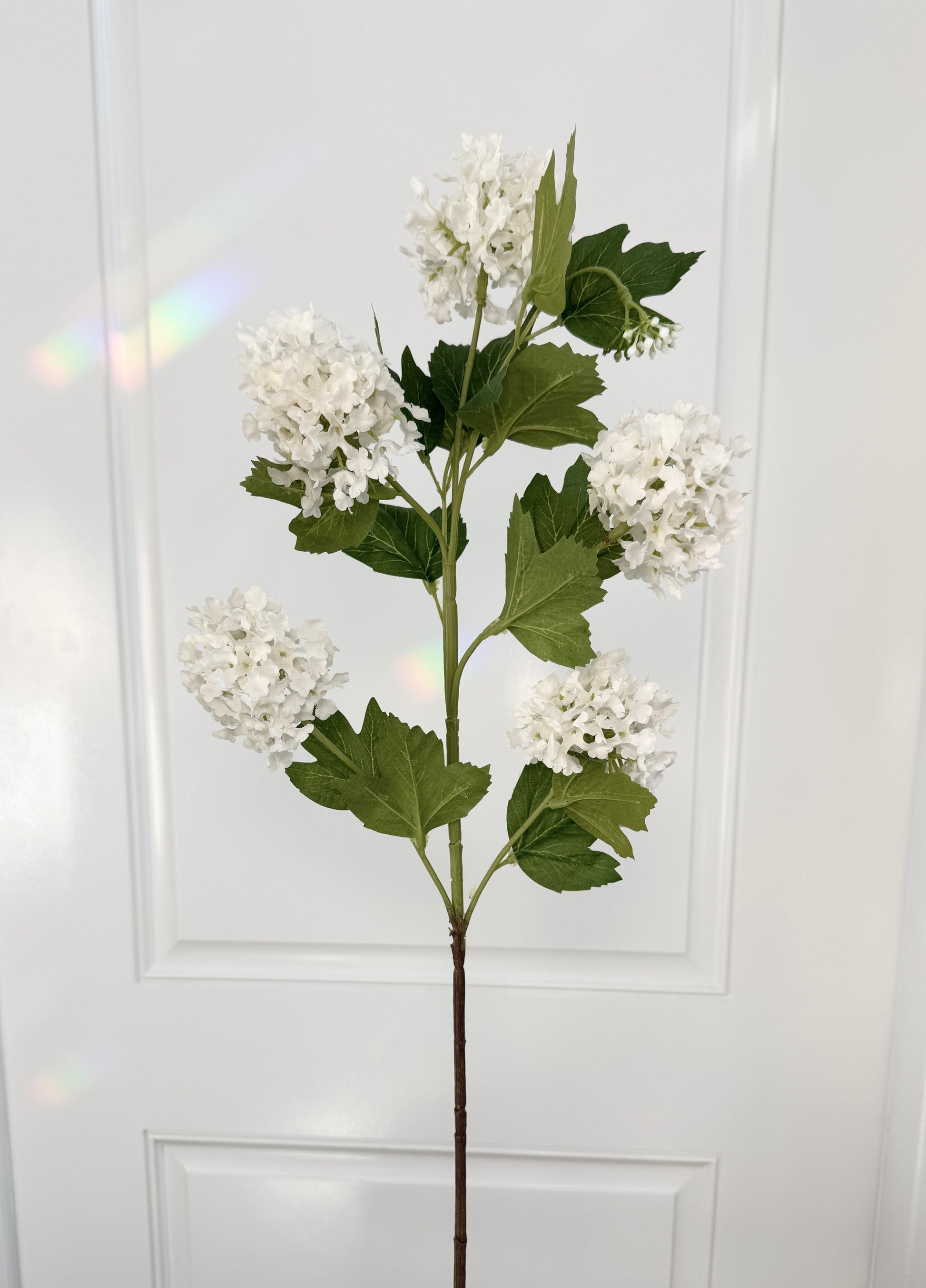 realistic faux snowball flowers

white hydrangea artificial stems

faux floral stems for vases

artificial flowers for table decor

fake hydrangeas that look real

white faux hydrangea bouquet

artificial flower arrangement stems

white silk snowball hydrangea

long stem fake flowers for decor

DIY faux flower arrangement supplies

artificial stems for floral design

luxury faux flower stems

artificial white floral spray

silk hydrangeas for wedding decor

decorative faux flower stems

premium white artifi