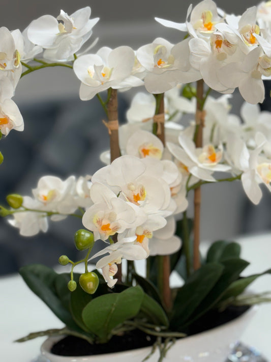 Kaylee Real Touch Phalaenopsis Orchid Floral Arrangement with White Ceramic Vase on