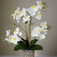 Amelie Silk Phalaenopsis Orchid Arrangement Silver Ceramic Vase