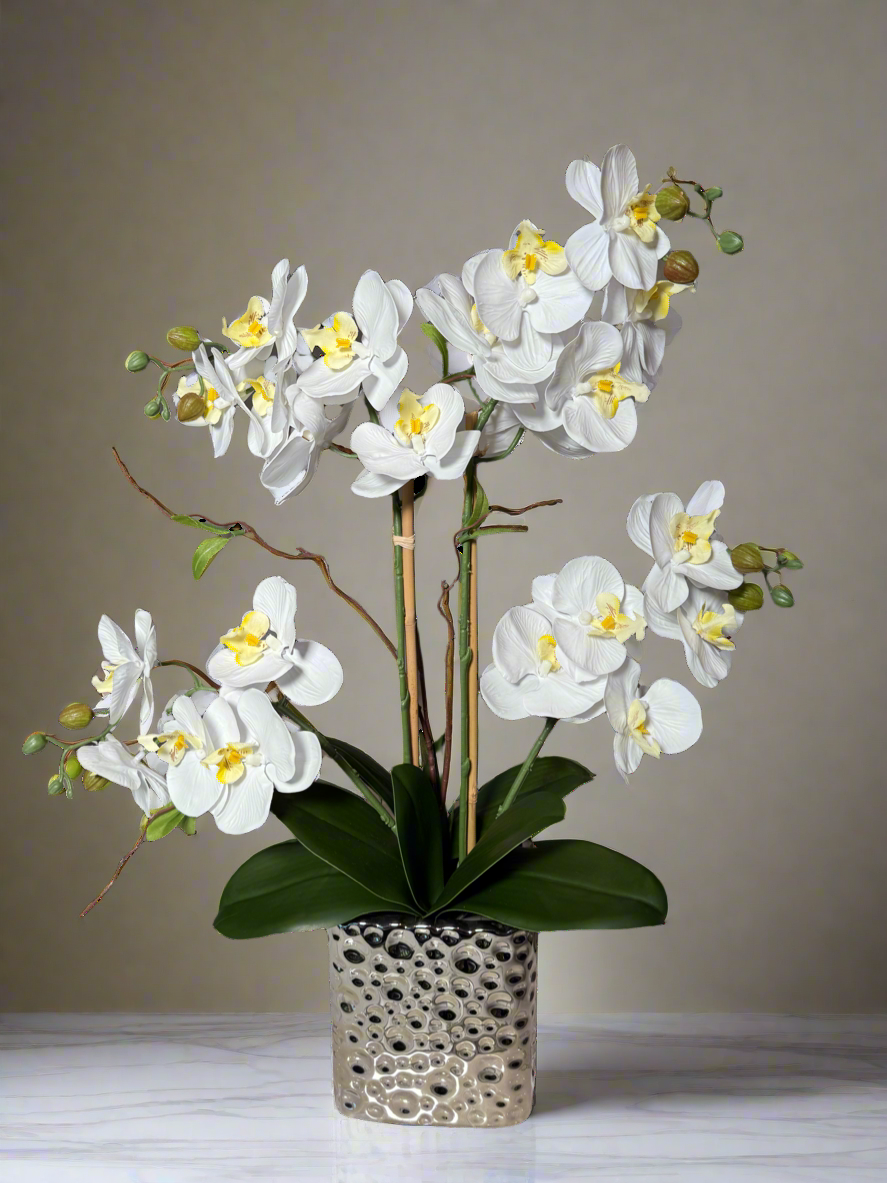 Amelie Silk Phalaenopsis Orchid Arrangement Silver Ceramic Vase