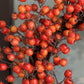 Fall Wreath for Door

Autumn Wreath with Berries

Christmas Holiday Wreath

Winter Holiday Wreath

Holiday Berry Wreath

Fall Autumn Door Wreath

Christmas Wreath with Orange Berries

Thanksgiving Door Wreath

Holiday Front Door Decor

Fall Seasonal Wreath