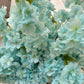 Sienna Faux Silk Blue Cherry Blossom Set of 3 pcs  36'' Wedding, Party, Event, Japan's National Flower