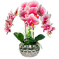 Luxury Floral Arrangement for Home

Modern Orchid in Silver Vase

Real Touch Orchid Home Decor

Artificial Floral Arrangement for Living Room

Pink Orchid Arrangement in Silver Vase

White Orchid Arrangement for Office

Beveled Vase Orchid Floral Display

Silver Vase Orchid Centerpiece for Home

Pink Orchid Bouquet in Silver Vase

Real Touch Orchid Flowers for Home