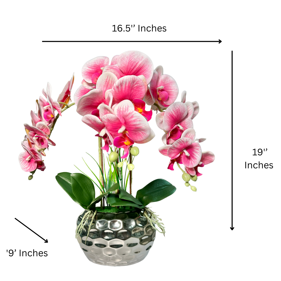 Faux Orchid Flowers in Silver Vase

Orchid Arrangement for Living Room

Beveled Silver Vase Decor

Pink White Orchid Bouquet

Artificial Orchid Centerpiece

Orchid Arrangement for Office Decor

Real Touch Pink White Orchid

Silver Vase Flower Arrangement

Luxury Orchid Home Decor

Modern Orchid Flower Arrangement