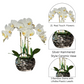 Faux Orchids for Living Room

Real Touch Orchid Bouquet

Artificial Floral Arrangement with Orchids

High-Quality Orchid Arrangement

Luxury Faux Orchid Flowers

Pink White Orchid with Beveled Vase

Silver Vase Orchid Centerpiece

Elegant Pink Orchid Flower Arrangement

Real Touch Flowers for Home

Modern Orchid Arrangement in Silver Vase