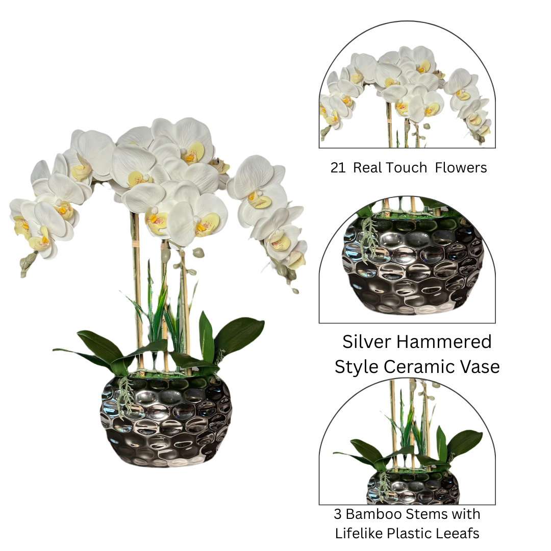 Faux Orchids for Living Room

Real Touch Orchid Bouquet

Artificial Floral Arrangement with Orchids

High-Quality Orchid Arrangement

Luxury Faux Orchid Flowers

Pink White Orchid with Beveled Vase

Silver Vase Orchid Centerpiece

Elegant Pink Orchid Flower Arrangement

Real Touch Flowers for Home

Modern Orchid Arrangement in Silver Vase