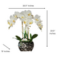 Silver Vase Flower Arrangement

Pink White Orchid in Luxury Vase

Orchid Arrangement for Office Decor

Decorative Pink Orchid in Silver Vase

Real Touch Orchid Centerpiece

Modern Orchid Flower Arrangement

Faux Orchid Flower Bouquet

Pink Orchid Luxury Decor

Beveled Silver Vase Orchid Flowers

Orchid Arrangement for Wedding Decor