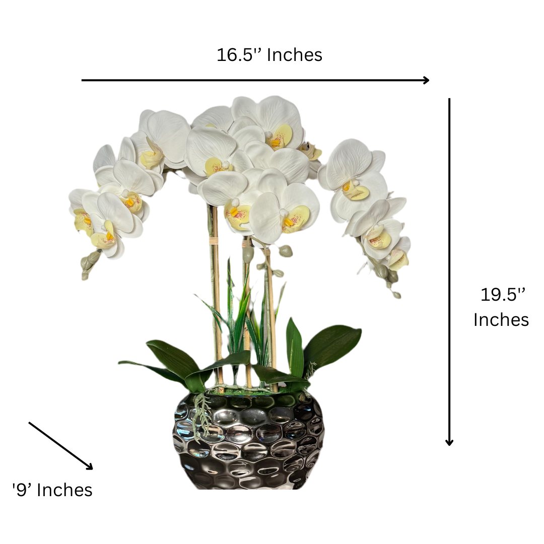 Silver Vase Flower Arrangement

Pink White Orchid in Luxury Vase

Orchid Arrangement for Office Decor

Decorative Pink Orchid in Silver Vase

Real Touch Orchid Centerpiece

Modern Orchid Flower Arrangement

Faux Orchid Flower Bouquet

Pink Orchid Luxury Decor

Beveled Silver Vase Orchid Flowers

Orchid Arrangement for Wedding Decor