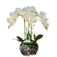 Orchid Centerpiece for Home

White Orchid Arrangement for Living Room

Luxury Orchid Home Decor

Faux Orchid Arrangement in Vase

Pink Orchid in Silver Vase

White Orchid in Beveled Vase

Artificial Pink White Orchids

Realistic Orchid Home Centerpiece

Pink White Orchid Indoor Arrangement

High-End Orchid Arrangement