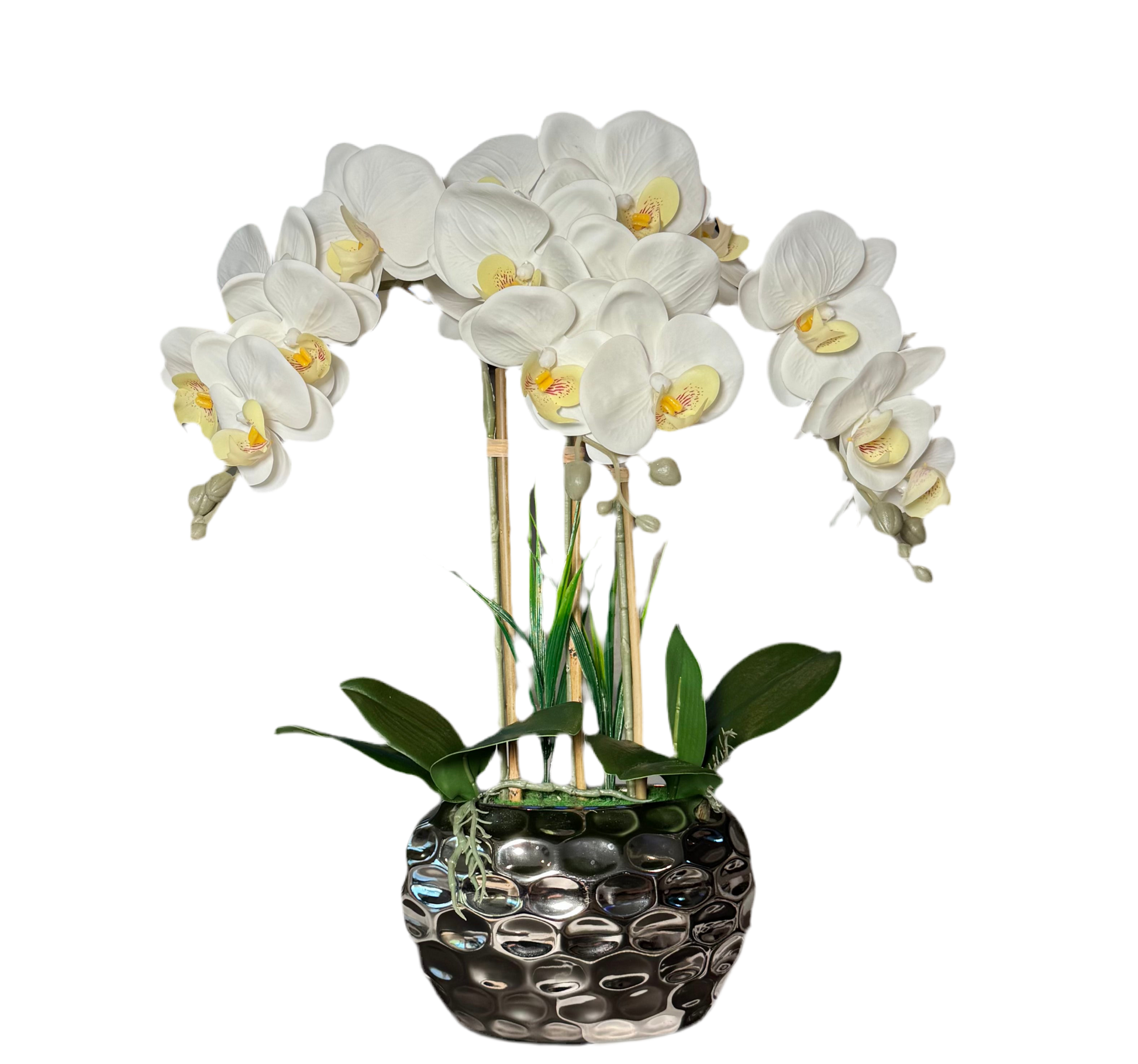 Orchid Centerpiece for Home

White Orchid Arrangement for Living Room

Luxury Orchid Home Decor

Faux Orchid Arrangement in Vase

Pink Orchid in Silver Vase

White Orchid in Beveled Vase

Artificial Pink White Orchids

Realistic Orchid Home Centerpiece

Pink White Orchid Indoor Arrangement

High-End Orchid Arrangement