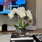 Pink White Orchid Arrangement

Real Touch Orchid Arrangement

Orchid Floral Arrangement

Beveled Silver Vase Orchid

Real Touch Pink Orchid

White Orchid Arrangement in Silver Vase

Luxury Orchid Arrangement

Artificial Orchid Flowers in Vase

Pink Orchid Floral Arrangement

Orchid Arrangement for Home Decor