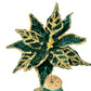 Green and Gold Glittered Poinsettia Christmas Flower Stem Spray 13'' Set of 3