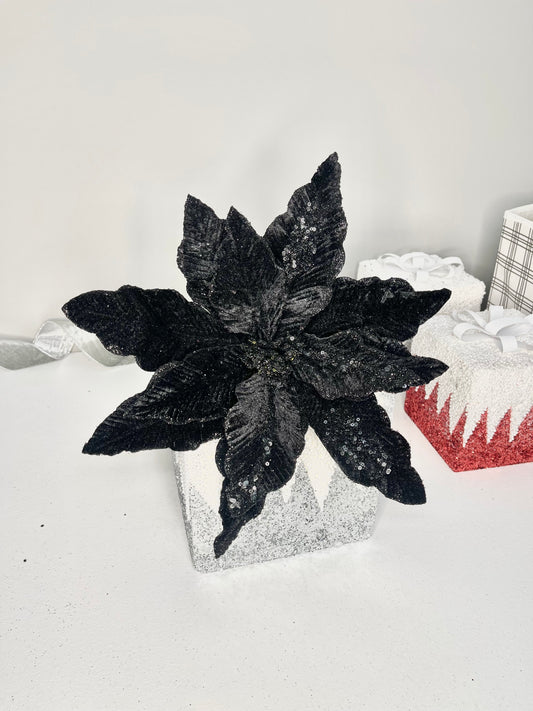 black poinsettia 