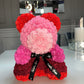 Totally Glam Large Rose Bear Rainbow Red Pink Burgundy Light Pink