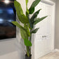 Artificial Bird of Paradise Faux Palm Tree Plant, 7ft Lifelike
