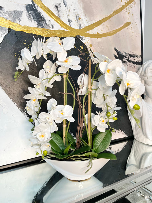 orchid