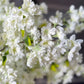 40 inch silk cherry blossom flower branches

Realistic faux cherry blossom stems set of 3

Artificial white cherry blossom wedding decor

Cream silk cherry blossom branches for vases

Japan style faux cherry blossom flower stems

White cherry blossom branch arrangement

Tall faux cherry blossoms for home styling

Neutral artificial floral stems for events

Real touch cherry blossom flower branches

Elegant silk cherry blossom decor stems