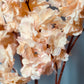 fall floral arrangements

fall decor faux flowers

autumn branch decor

seasonal blush flowers

Thanksgiving table decor

cozy fall home decor

artificial fall blossoms

harvest style floral decor

faux flowers for fall centerpieces

fall cherry blossom branches
