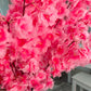 white cherry blossom branches

artificial cherry blossom stems

silk cherry blossom branches

cherry blossom flower decor

faux cherry blossom twigs

36 inch cherry blossom branches

fake cherry blossom branch set

tall cherry blossom stems

cherry blossom branch decor

Mila cherry blossom flowers