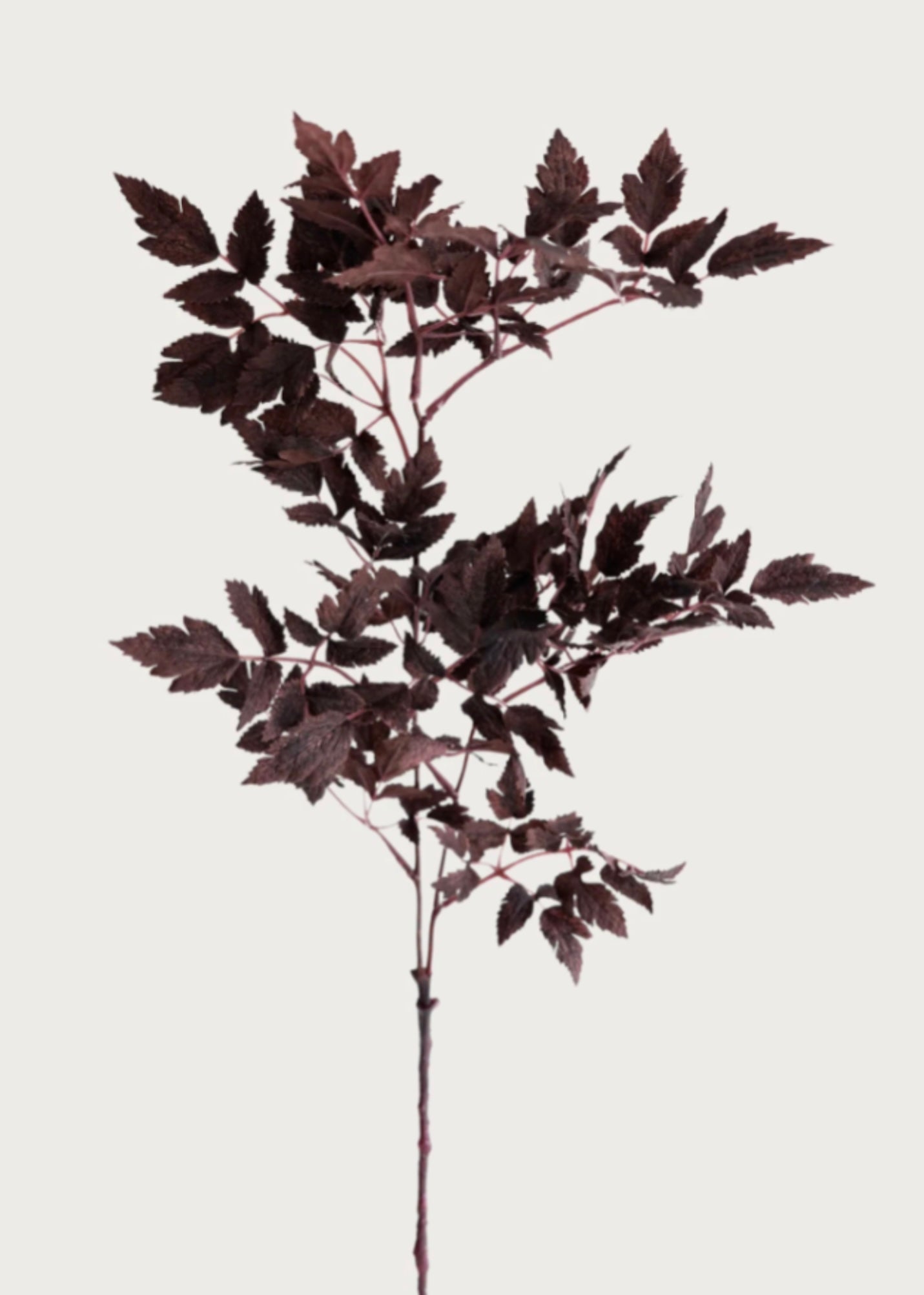 Premium silk faux leaves

Realistic faux botanical stems

Lifelike artificial leaf branches

High-quality silk foliage stems

Durable faux autumn leaves

Maintenance-free fall decor

Faux foliage for tall vases

Everlasting silk botanical decor

Long stem artificial branches

Flexible wired faux stems