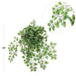 ARTIFICIAL MAIDENHAIR FERN 23 FRONDS - LIFELIKE INDOOR/OUTDOOR FAUX PLANT DÉCOR - EASY CARE & REALISTIC GREENERY FOR HOME, OFFICE, WEDDING - PREMIUM QUALITY, UV RESISTANT