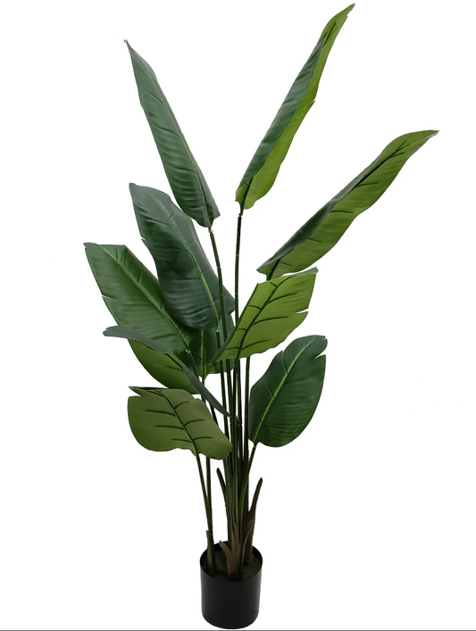 Faux Bird of Paradise Palm Tree, 5ft Plant