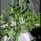 Azore Faux Natural Green Silk Stem Leaf Branches