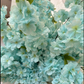 Sienna Faux Silk Blue Cherry Blossom Set of 3 pcs  36'' Wedding, Party, Event, Japan's National Flower