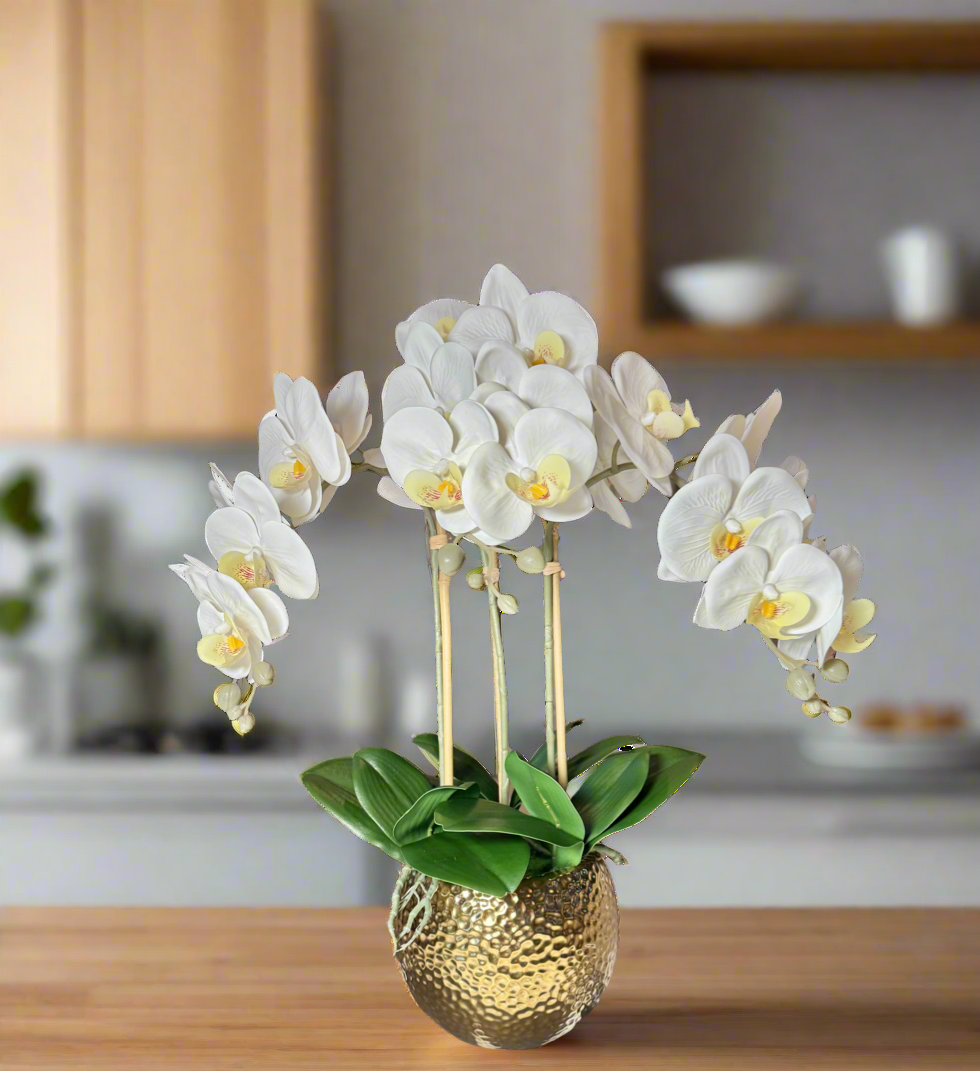 Ceramic Round Vase

Decorative Orchid Flowers

White Phalaenopsis Orchid

Faux Orchid Plant

Orchid Arrangement for Home

Elegant Orchid Arrangement

Real Touch Phalaenopsis

Realistic Orchid Arrangement

White Orchid Floral Display

Gold Hammered Ceramic Vase