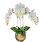 Real Touch Flowers for Home

Modern Orchid Decor

Phalaenopsis Floral Arrangement

Artificial Orchid Bouquet

Luxury Floral Arrangement

White Orchid Centerpiece

Modern Orchid Vase

Phalaenopsis Orchid Decor

Indoor Orchid Arrangement

Orchid Decor for Living Room