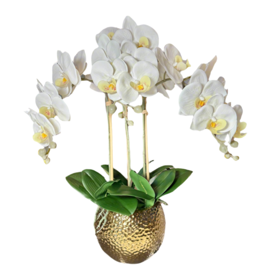 Real Touch Flowers for Home

Modern Orchid Decor

Phalaenopsis Floral Arrangement

Artificial Orchid Bouquet

Luxury Floral Arrangement

White Orchid Centerpiece

Modern Orchid Vase

Phalaenopsis Orchid Decor

Indoor Orchid Arrangement

Orchid Decor for Living Room