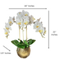 Artificial White Orchid

Best Orchid Arrangement

Real Touch Phalaenopsis Flowers

Indoor Fake Orchid Flowers

Orchid Vase Centerpiece

Home Decor Orchid Arrangement

Orchid Display for Office

High-End Orchid Arrangement

Ceramic Floral Arrangement

Real Touch Orchid Plant