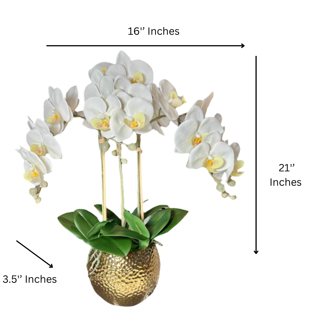 Artificial White Orchid

Best Orchid Arrangement

Real Touch Phalaenopsis Flowers

Indoor Fake Orchid Flowers

Orchid Vase Centerpiece

Home Decor Orchid Arrangement

Orchid Display for Office

High-End Orchid Arrangement

Ceramic Floral Arrangement

Real Touch Orchid Plant