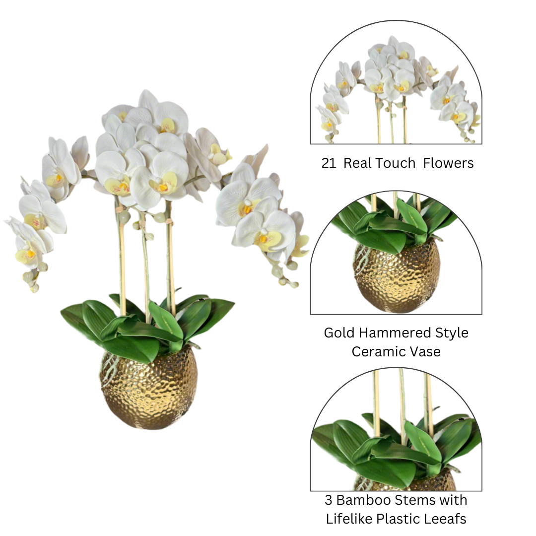 Phalaenopsis Orchid Pot

Artificial Flowers for Home

Wedding Orchid Arrangement

Orchid Arrangement with Vase

Stylish Orchid Home Decor

White Orchid Decorative Arrangement

Low Maintenance Orchid Arrangement

White Orchid Bouquet

Gold Vase Flower Arrangement

Phalaenopsis Orchid in Gold Vase