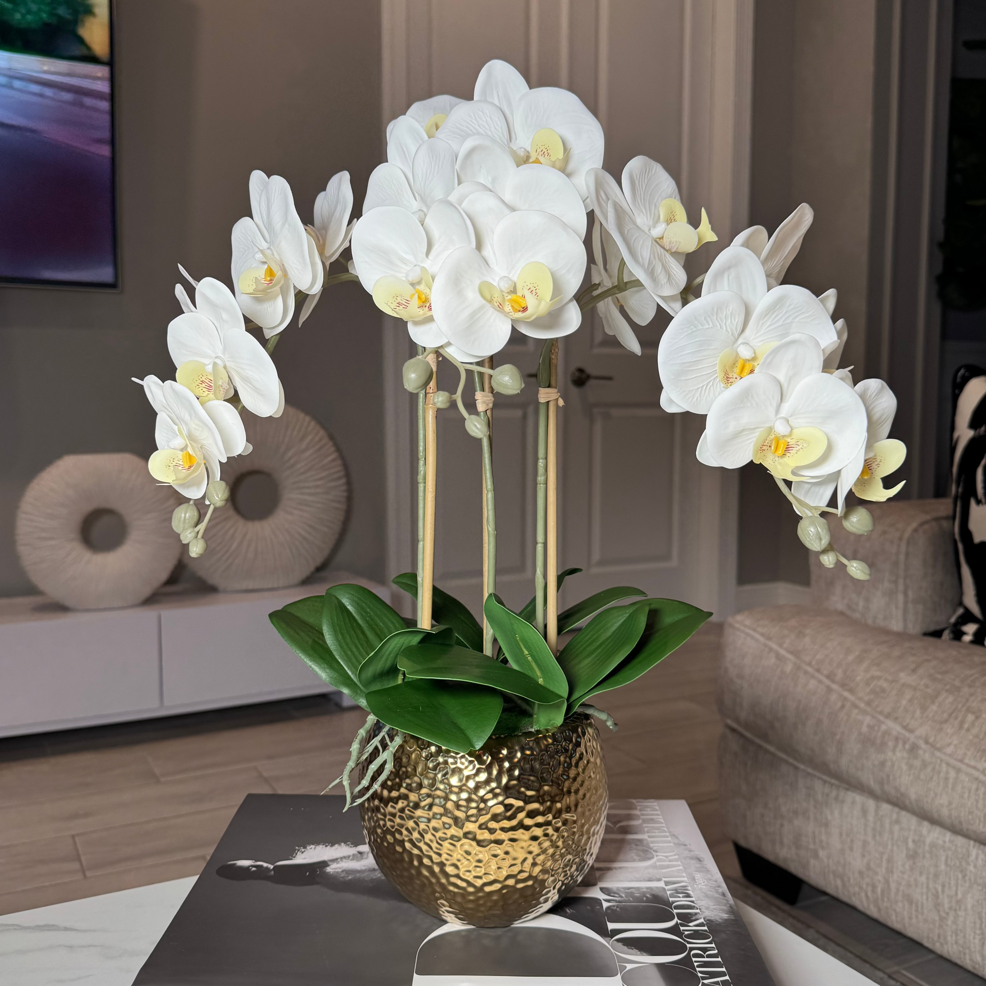 White Orchid Arrangement

Real Touch Orchid Arrangement

Phalaenopsis Orchid Vase

White Orchid Home Decor

Realistic Orchid Flowers

Orchid Floral Arrangement

Luxury Orchid Arrangement

Fake Orchid Flowers

Gold Ceramic Vase

Hammered Gold Vase