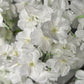 white faux flowers for decor

elegant artificial cherry blossoms

cream silk flowers for vase

cherry blossom branches for centerpiece

tall faux florals for home styling

neutral tone flower stems

spring home decor florals

white blossom branches for mantel

faux cherry blossoms for entryway

artificial stems for shelf styling