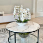 Phalaenopsis Orchid Floral Arrangement with White Vase