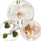 ARTIFICIAL REAL TOUCH SILK PHALAENOPSIS ORCHID, 9 FLOWERS 3 BUDS LUXURY BLOOMS 34"  FAUX FLORAL Set of 2