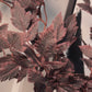Plum Faux Cimicifuga Ramosa Leaves 32" Fall Autumn Stem Bundle 3 Pack Burgundy Faux Botanical Branch for Tall Vase Seasonal Home Decor