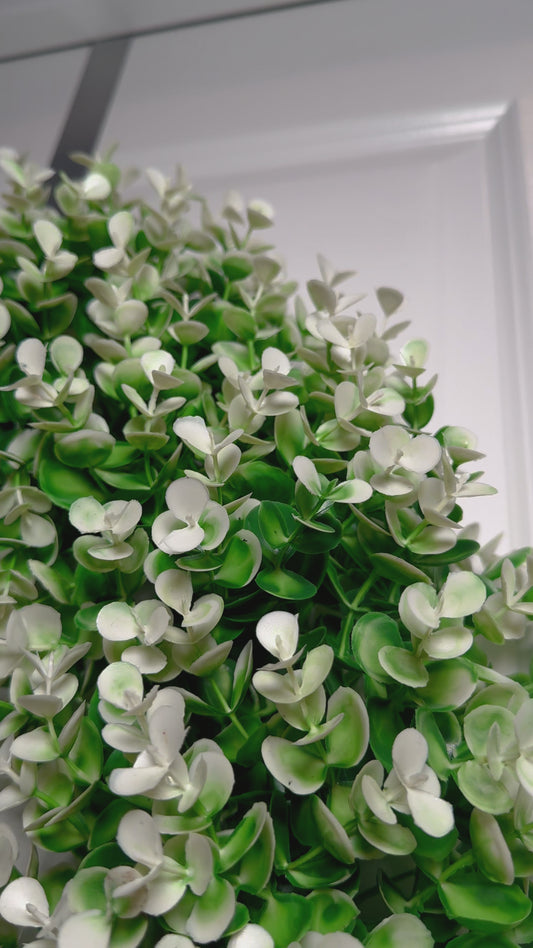 Chiara Artificial Green White Boxwood Decorative Wreath Indoor/Outdoor Use 23''
