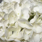 Ariane Real Touch Artificial White Hydrangea Flowers 20” Silk Floral Stems, 3-Piece Bundle, Faux Wedding Bouquets, Home & Event Décor