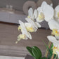 Giulia White Real Touch Orchid Arrangement in Beveled Silver Ceramic Vase Silk Lifelike Flowers