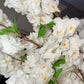 Aria White Cherry Blossom Branches Set of 3 Artificial Silk Stems Faux White Floral Bundle for Home, Wedding & Event Decor